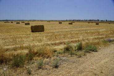 Shavei Zion07062017-0003