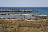 Shavei Zion07062017-0023